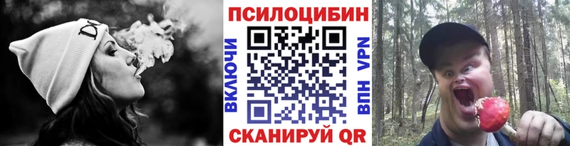 mega ссылка закладки Гремячинск Псилоцибиновые грибы ЛСД