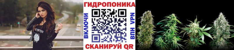 Каннабис семена  цены наркотик  Гремячинск 
